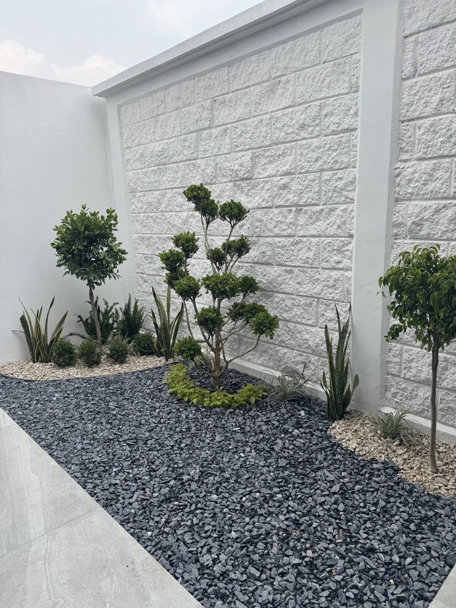 Jardín privado con piedra volcánica y plantas de ornato